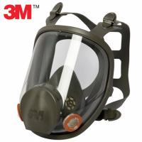 3M™ 6800 Twin Filter Full Face Mask Respirator only (Filters not included)