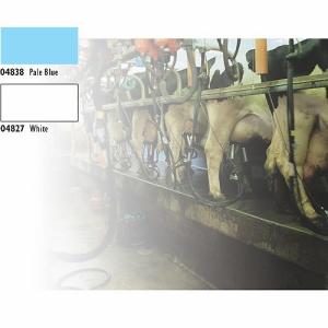 Parlatex Wall Coating