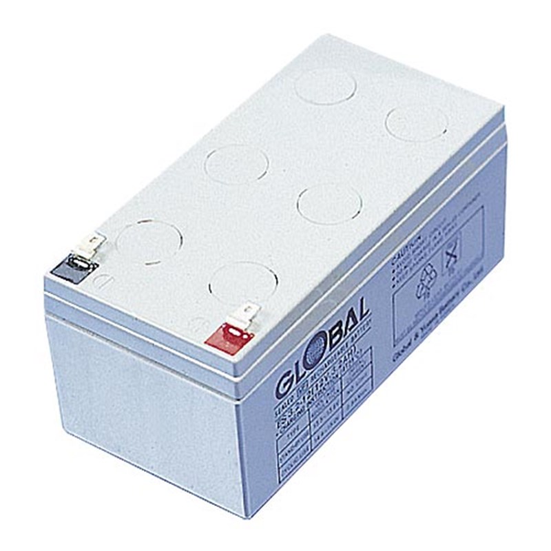 Compact Rechargable 12v Battery