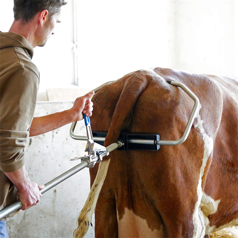 HK Calf Puller, Mechanism 2020 with Adjustable Metal Side Clamps