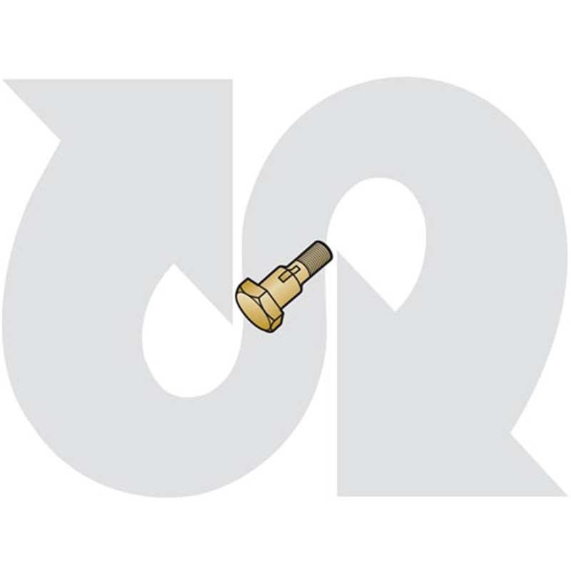 Cylinder Pivot Pin