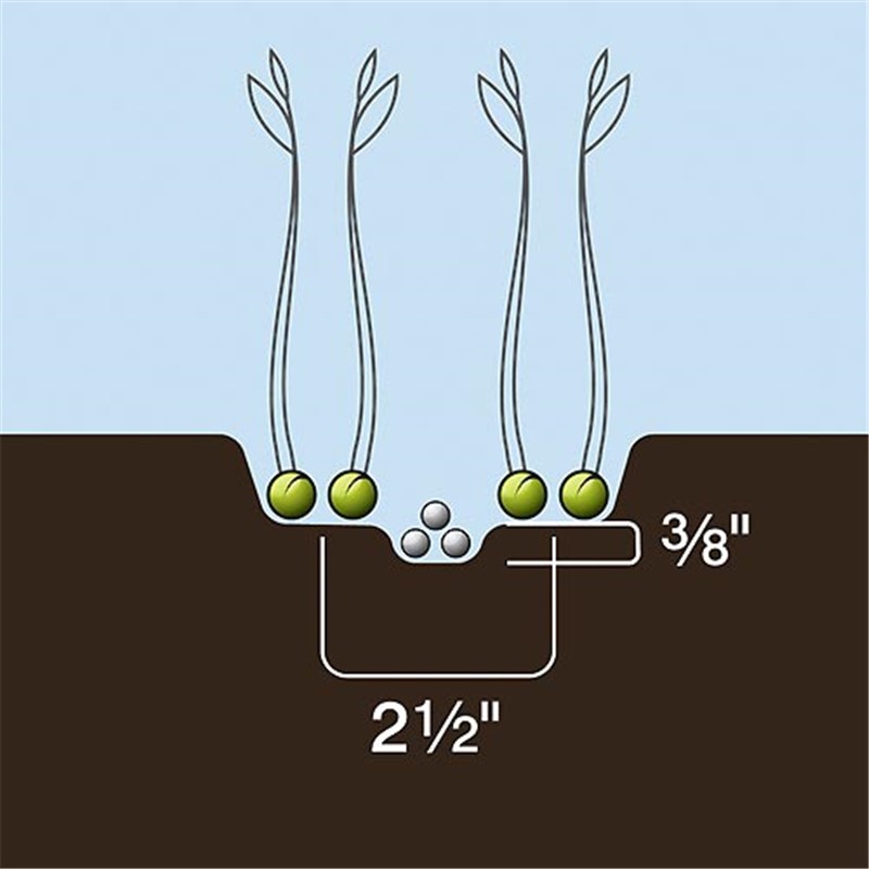 Universal Dutch Opener Tip 2.5