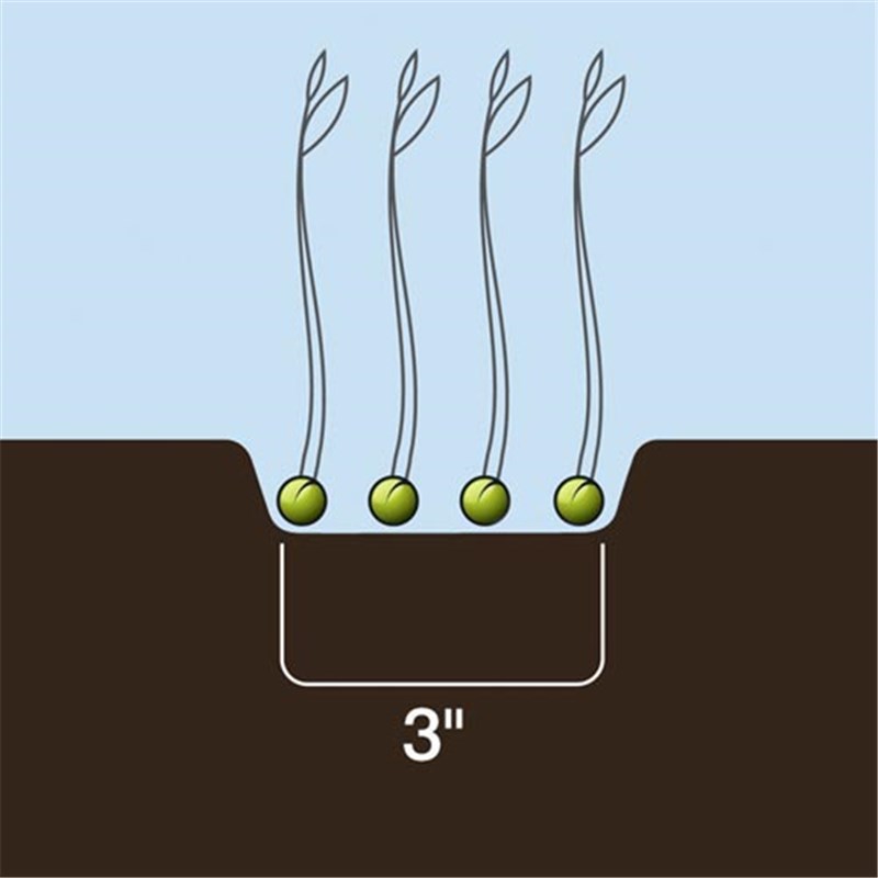 Universal Dutch Opener Tip 3