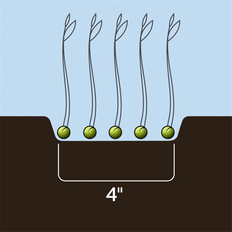 Universal Dutch Opener Tip 4