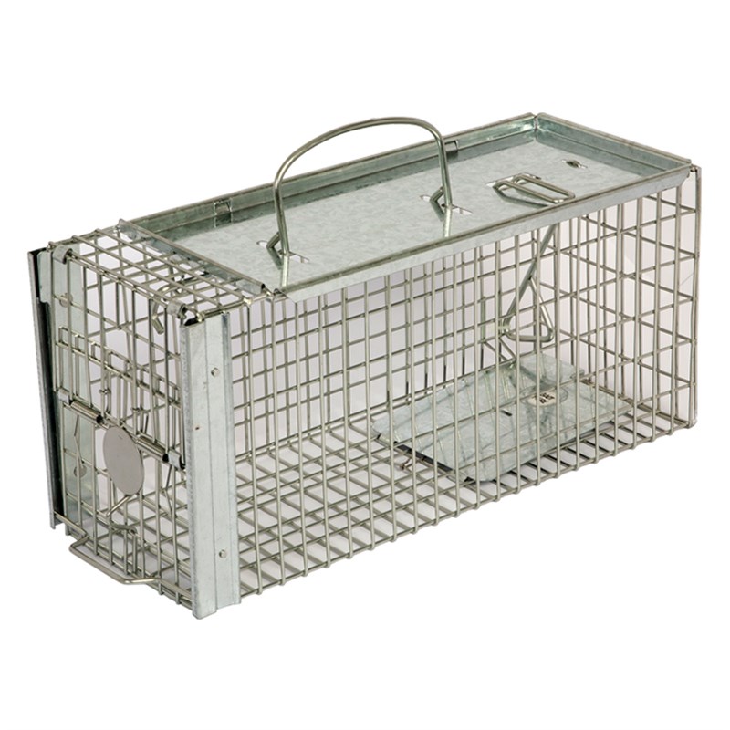 Rat Cage Trap