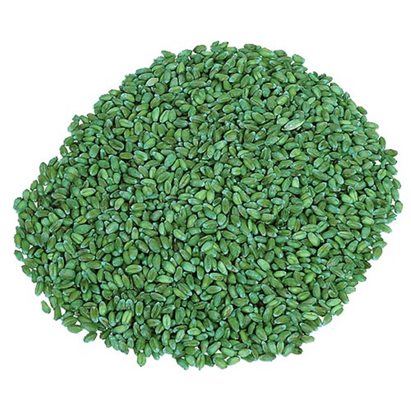 JADE Grain Loose Whole Grain Rat Poison (Bromadiolone), 20kg