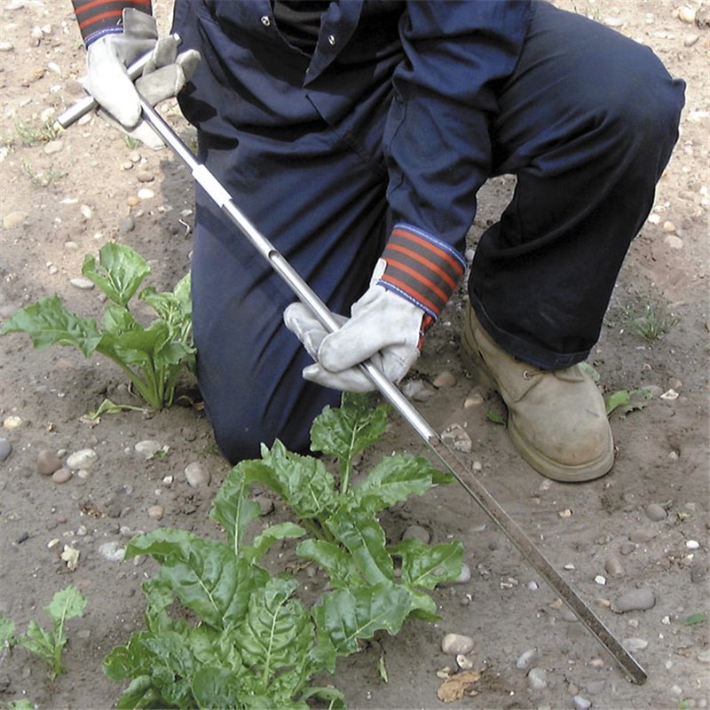 Stainless Steel Soil Sampler