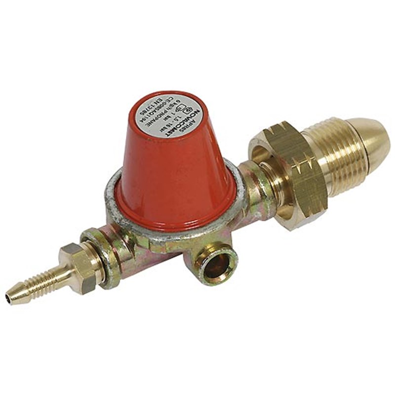 Gas Regulator (1 bar)