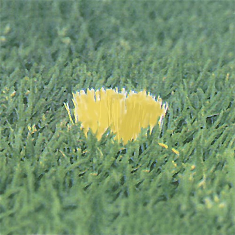 Yellow PLiFiX® Markers c/w driving tool (Pk 25)