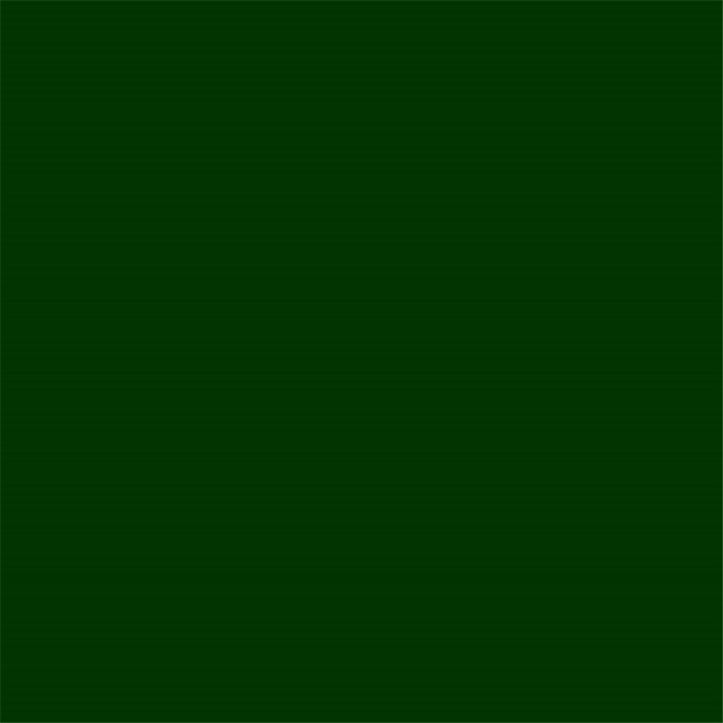 Bailey Dark Green, 400ml Enamel Aerosol