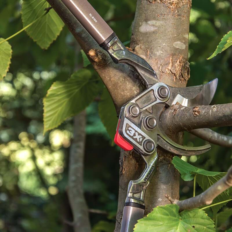 thumbnail image 2 of Corona High-Performance Orchard Bypass Lopper - 26 Inch (AL 8442 2 of 12