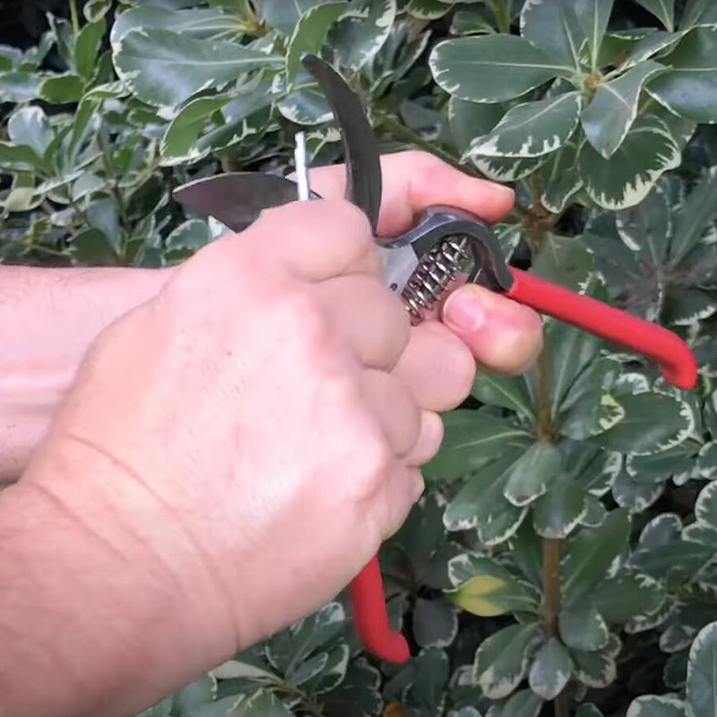 Corona Sharpening Tool (AC 8300)