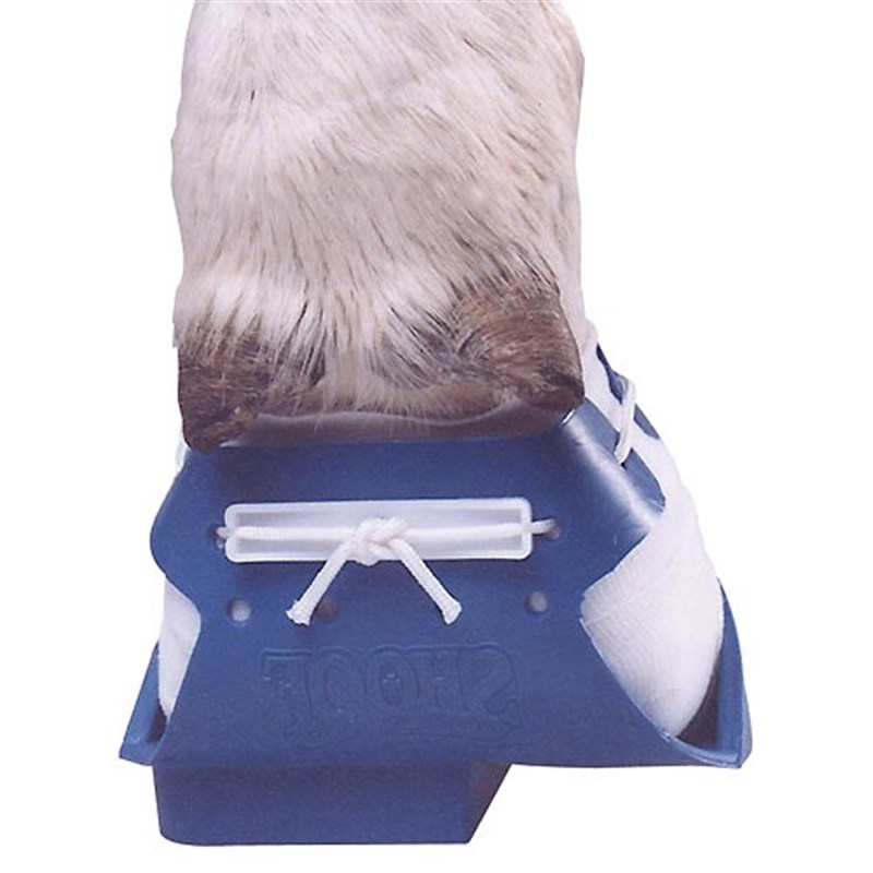 SHOOF Shoe - Large (Right), Blue