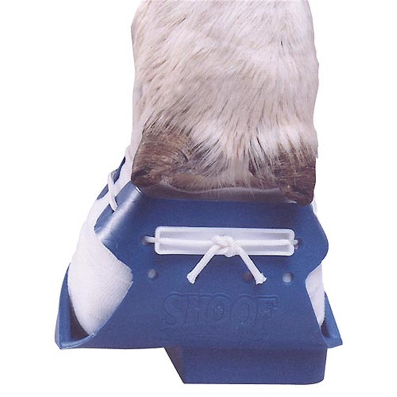 SHOOF Shoe - Large (Left), Blue