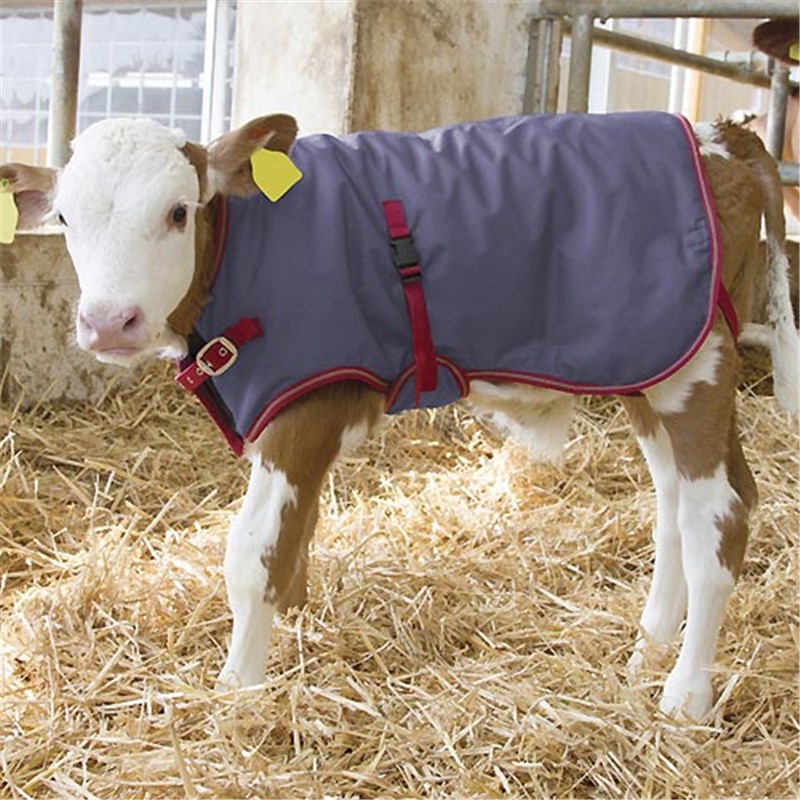 Thermal Calf Coat, 70cm Back