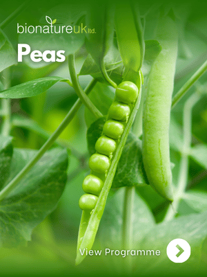 Peas_thumbnail